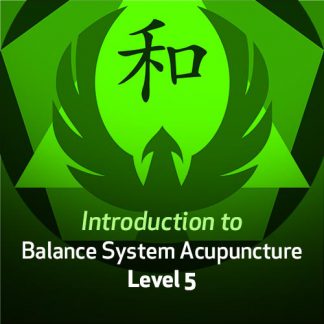 Introduction to Balance System Acupuncture - Level 5