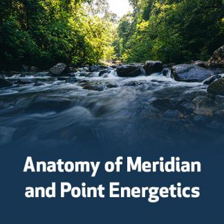 Anatomy of Meridian and Point Energetics