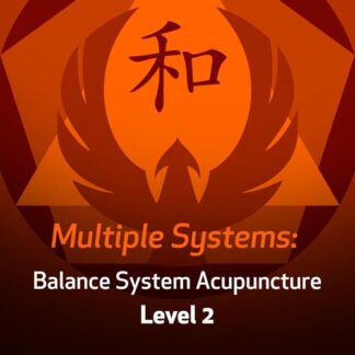 Multiple Systems: Balance System Acupuncture - Level 2