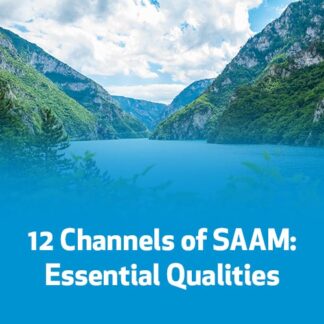 12 Channels of SAAM: Essential Qualities