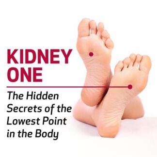 Kidney 1