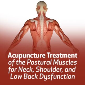 Acupuncture Treatment of the Postural Muscles for Neck, Shoulder, and Low Back Dysfunction