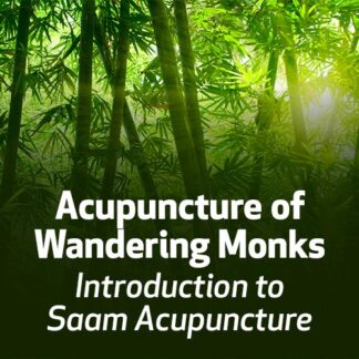 Acupuncture of Wandering Monks: Introduction to Saam Acupuncture