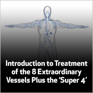 Introduction to Treatment of the 8 Extraordinary Vessels Plus the Super 4