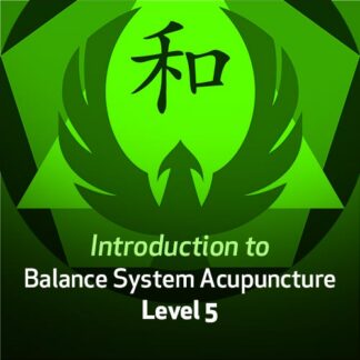 Introduction to Balance System Acupuncture - Level 5