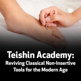 Teishin Academy: Reviving Classical Non-Insertive Tools for the Modern Age