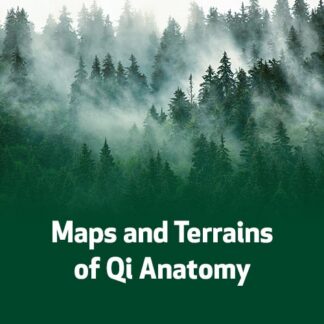 Maps and Terrains of Qi Anatomy