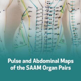 Pulse and Abdominal Maps of the SAAM Organ Pairs