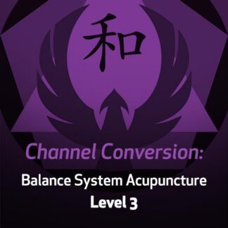 Channel Conversion: Balance System Acupuncture - Level 3